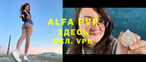 стаф Заводоуковск