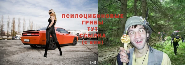 стаф Заводоуковск