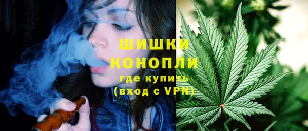 стаф Заводоуковск